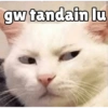 Meong yg ramah 19