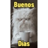Los buenos días  27
