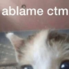 Animalitos Anti-depresivos 3 😼 11