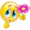 Twitter  35