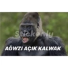 Sticker ly
AĞWZI AÇIK KALWAK