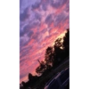 Aesthetic 15