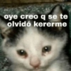 oye creo q se te
olvidó kererme
