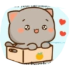 Bebecito 19