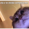 ola c te olvidó contestarme