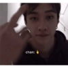 Stray kids stickers 7 17