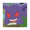 Pokémon 29