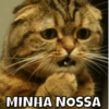 MINHA NOSSA