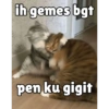 Meong yg ramah 9