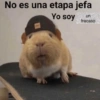 Animalitos Anti-depresivos 3 😼 15