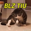BLZ TIU