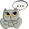 Bleu the British Shorthair 13