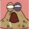 ShitPost 31