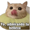 😎Memes Collection 📚 13