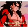 Yo sk 13
