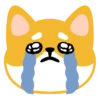 Shiba edition 10