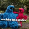 Cookie monster 13
