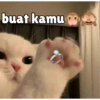 Meong yg ramah 15