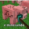 Bem vindo ao minecraft 20