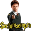 Hechizos Harry Potter • Est AA 15