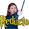 Hechizos Harry Potter • Est AA 16
