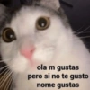 Memes solo para ti 1 🥵😍😎 12