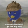 Shitpost Random 😎😉 33
