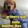 Frases perrunas cool 21