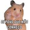 OI POVO QUE NÃO
CONHEÇO