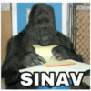 SINAV