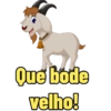 Animais com duplo sentido 6