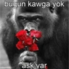 bugun kawga yok
ask var