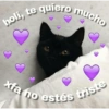 holi, te quiero mucho
xfa no estés triste
Canimalitosparatadepresion