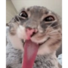 Fff 34