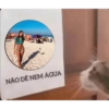 Opam 11