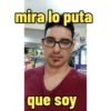 XD? 24