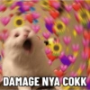 DAMAGE NYA COKK