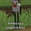 Bem vindo ao minecraft 13