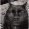 MEOW | gatos 7