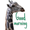 Good morning  8