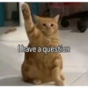 Meme reaction tiktok  9