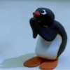 Pingu Yo 5