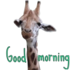 Good morning  25