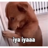 Meme anjing🐶 11