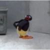 Pingu Yo 14