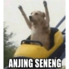 Meme anjing🐶 10