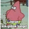 Patrick meme 10