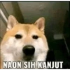 Meme anjing🐶 6