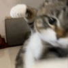 Meme reaction tiktok  21