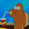 Keluarga ikan Spongebob  15